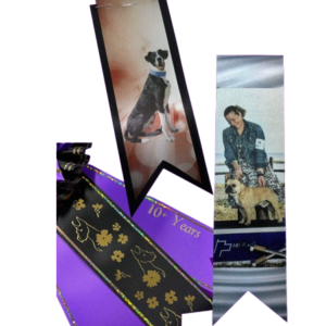 Photo and Stamped Streamers